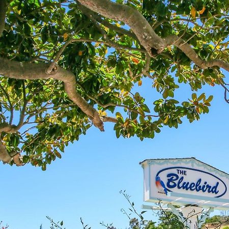 Bluebird Inn Cambria Bagian luar foto