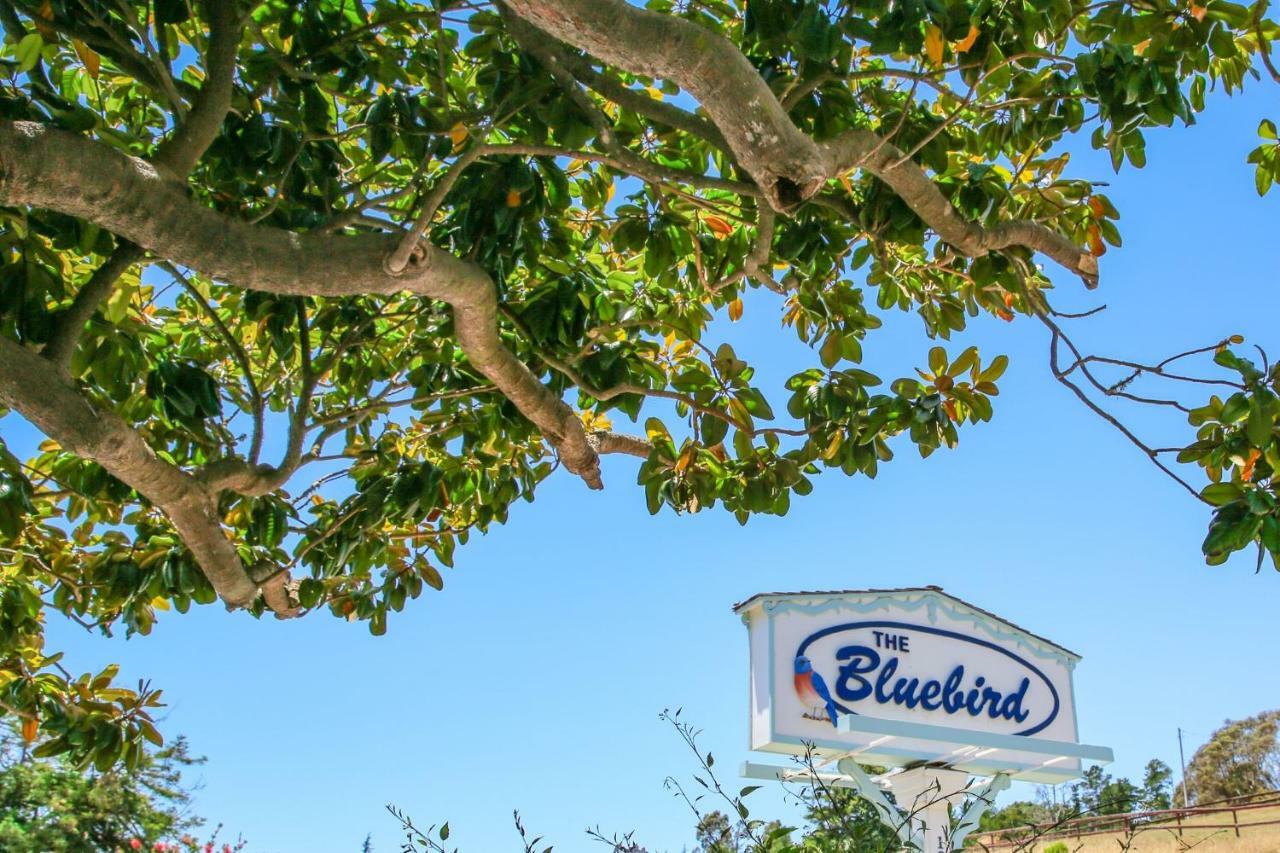 Bluebird Inn Cambria Bagian luar foto